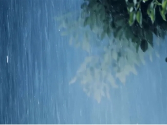 德商產(chǎn)投服務(wù):吹響備汛集結號！未雨綢繆，筑牢汛期安全防線(xiàn)