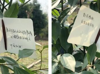 保利物業(yè)：擁抱春天 播種綠色