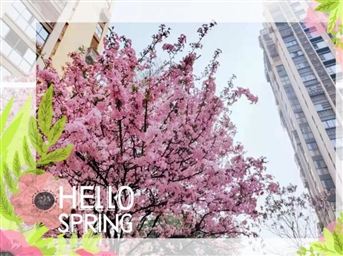 力寶·春景集┃共沐春風(fēng)，陽(yáng)光下的一切都好美