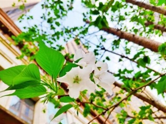 成都小區的幸福美好生活，藏著(zhù)春天最美的樣子！