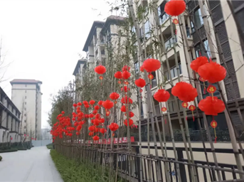 龍光服務(wù) | 新春喜迎“新”，“年”味兒溢滿(mǎn)盈