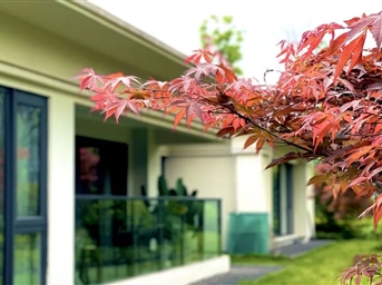 融禮序于自然，予服務(wù)以美學(xué) | 融創(chuàng  )案場(chǎng)服務(wù)塑造持續生長(cháng)的美好生活場(chǎng)景